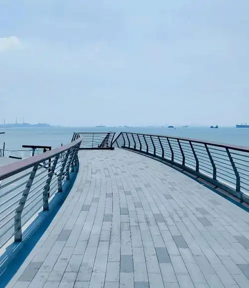 虎门这片沙滩,开放了!_区域_东莞_综合