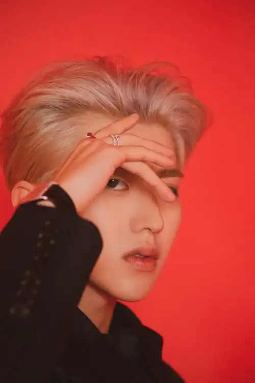 简介:蔡徐坤银发背头帅气写真图片,分享一组蔡徐坤图片给大家,图中的