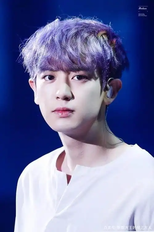 exo朴灿烈,霸道总裁的温柔神颜(海图)