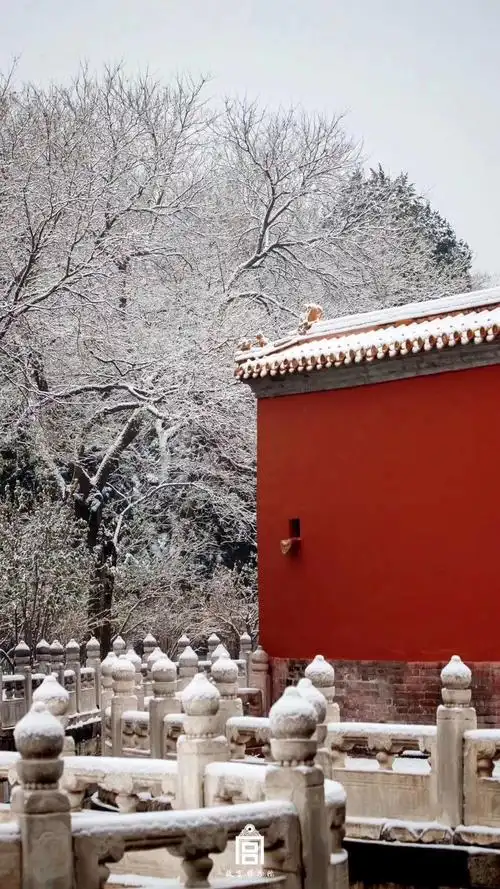 下雪的故宫,红墙琉璃瓦,雪景美不胜收