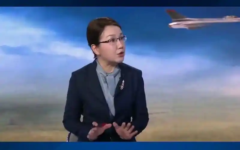 军事专家李莉涉亲俄言论引发争议