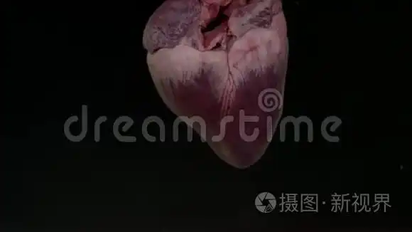 在黑色背景下的水族馆里有血的心脏