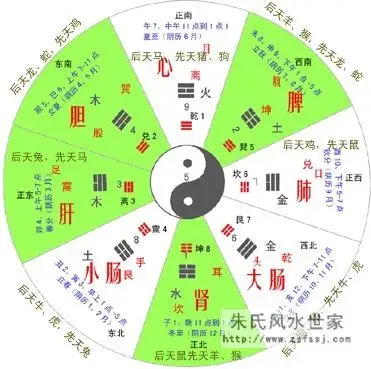 中医与五行的关系是怎样的?