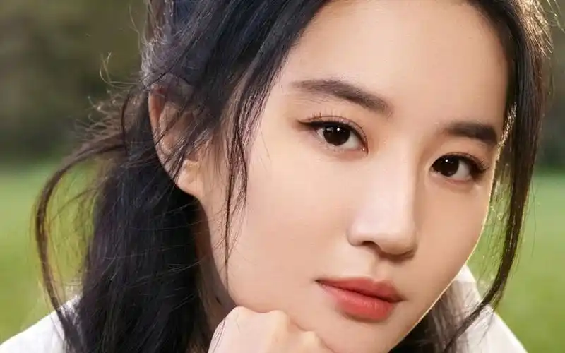 杨水斌:美鼻分析—刘亦菲