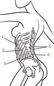 学会用腰腹的力量唱歌你就成功了一半