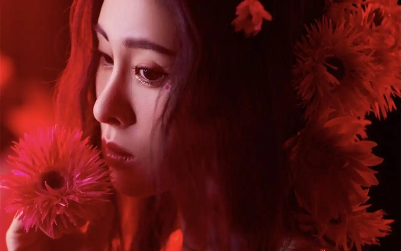 张碧晨唯美性感写真图片桌面壁纸高清大图预览1920x1200_大陆明星下载