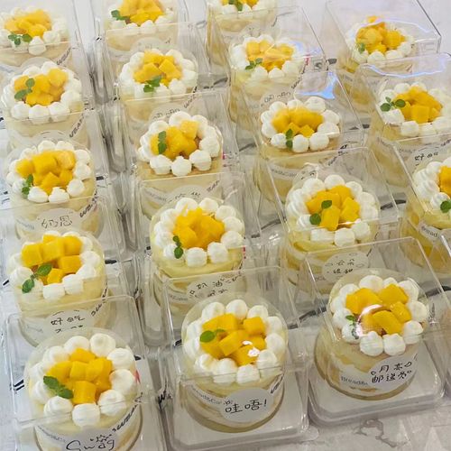 芋泥杨枝甘露小蛋糕包装盒圆形2寸小蛋糕慕斯提拉米苏一次性包装