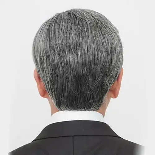 中老年男士假发 花白发黑白发短发送老人长辈, 花白色【20%白发丝】