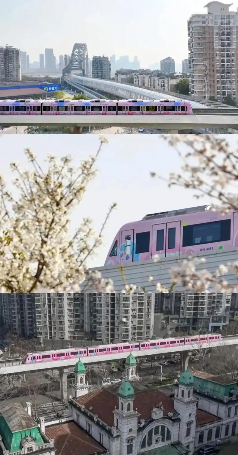 🚇武汉地铁优惠 ✘ 🌸樱花地铁时间/皮肤! 3.20