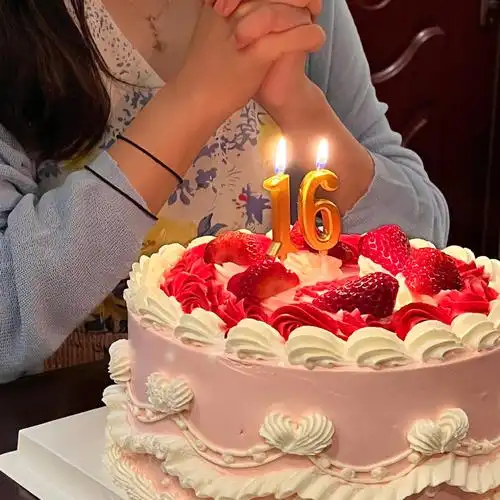 海淀女高16岁生日快乐