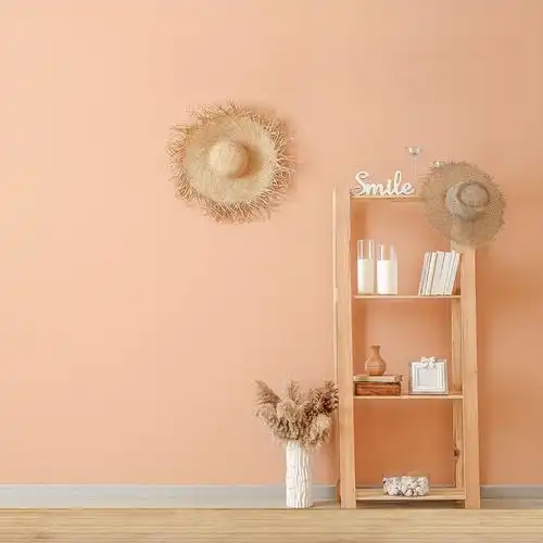 直播间主播网红电商服装拍照摄影简约创意抖音快手ins道具背景布