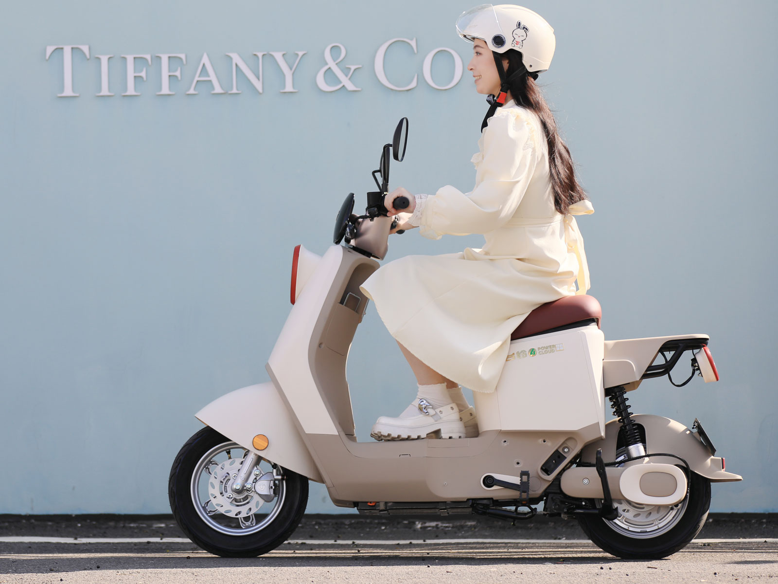 台铃长续航电动车