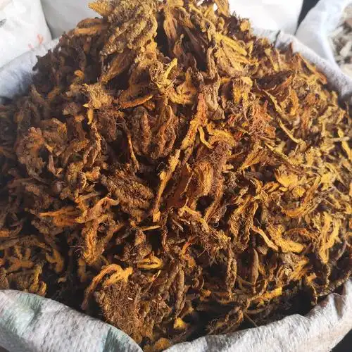 中药黄连的功效黄莲批发价格和配方