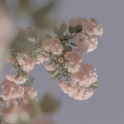 朋友圈背景图ins好看的微信封面图