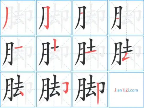 脚的笔顺 脚的笔画 脚的笔划ノフ一一一丨一フ丶フ丨