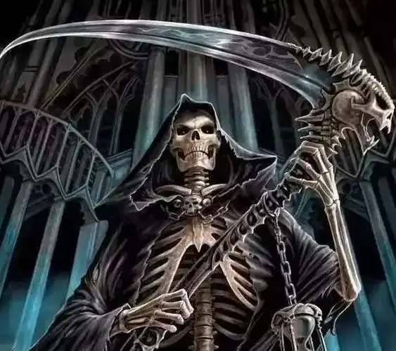 但在另一部分人眼中骷髅却成了死亡的代言人就是恶灵骑士就是加勒比