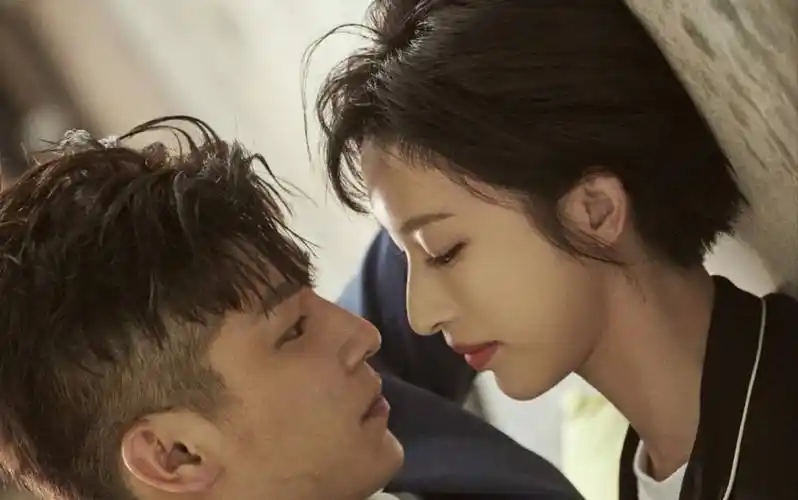 金牌投资人 晋玉cp张俪 杨旭文剪辑cut