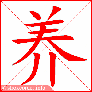 养字的笔顺动画
