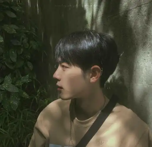 肖战 头像 侵删