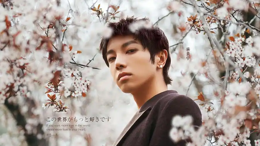 华晨宇2021壁纸练习|其他|其他|手无寸铁的葱小呆 - 原创作品 - 站酷