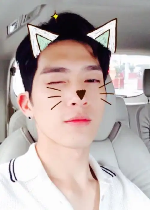 井柏然晒猫脸萌照 网友:卖萌可耻!