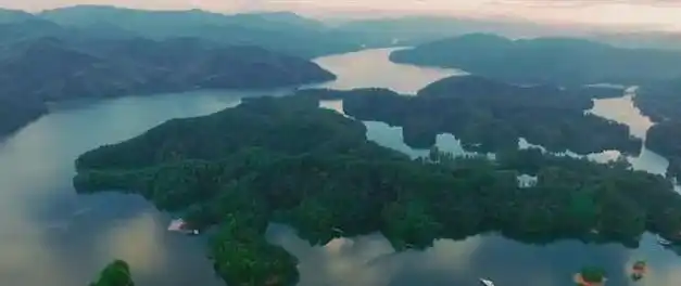 山水人文走崇义|林木|风景|崇义县|自然风光|赣南树木园_网易订阅