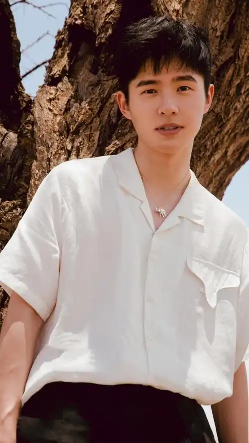 阳光男孩刘昊然