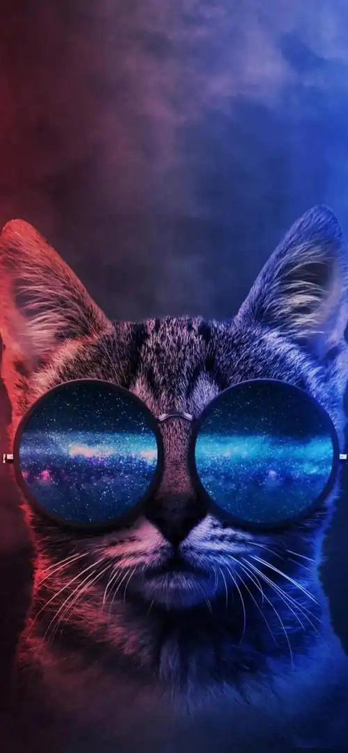 「壁纸」经典潮流个性综合系列手机高清壁纸!