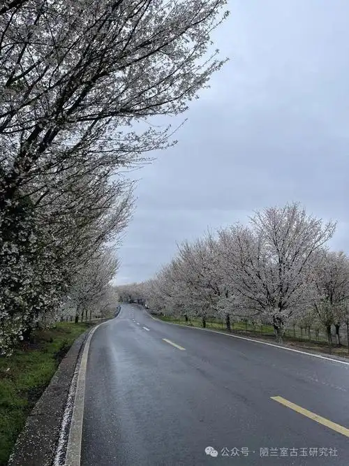 古玉收藏行家是如何炼成的一百二十七塖州市古董市场即存厮杀也见修养