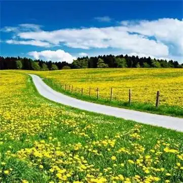 吉祥头像图片风景