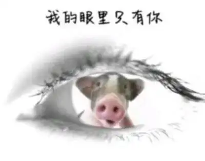 搞笑的小表情包