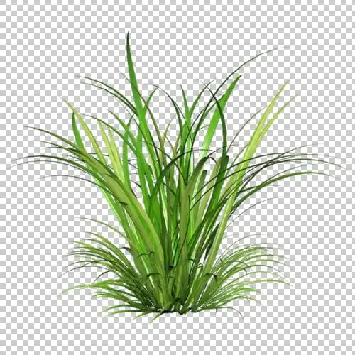 绿色png草坪素材设计元素图片素材免费下载 - 植物