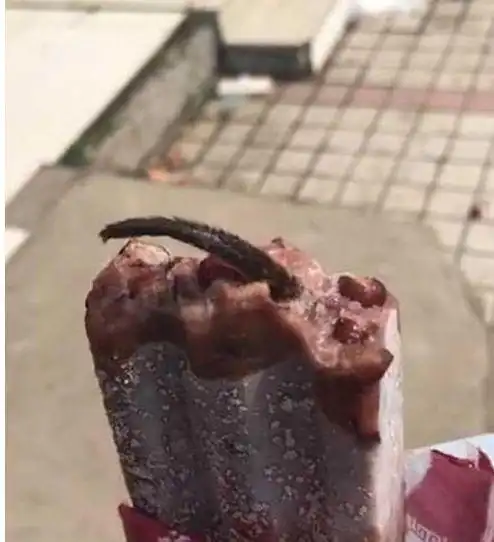 女子吃雪糕吃到了肉雪糕上竟然有一条尾巴最后结局让人意外