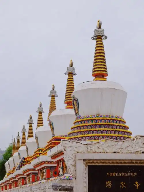 一人大西北旅游d1塔尔寺75