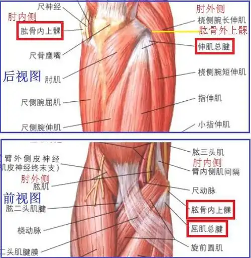 肱骨上髁炎的诊断