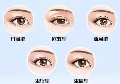 日常生活中,每个人都可以清晰分辨出单眼皮或是双眼皮.但是你知道吗?