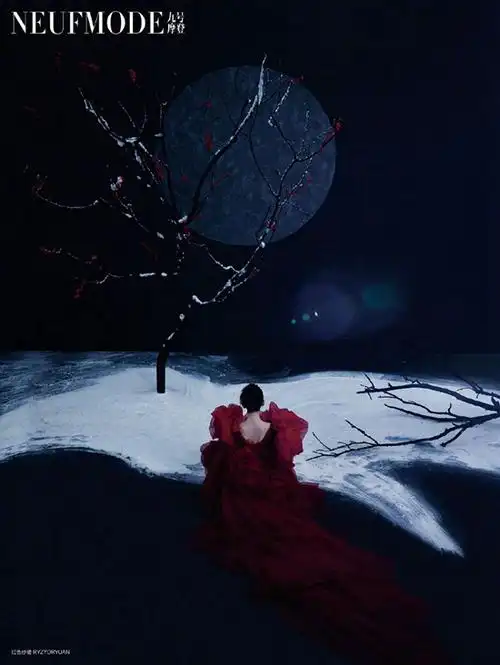 张天爱雪中赏梅大片 惊鸿一瞥绝美心动