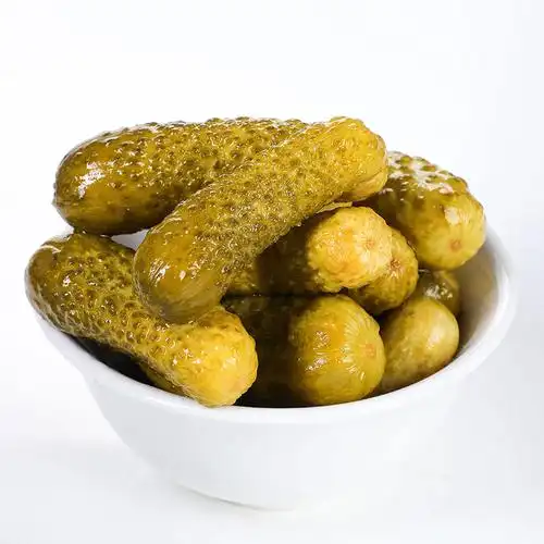 俄式酸黄瓜 俄罗斯风味罐头 原装酱小青瓜正西餐配菜即食小菜500g