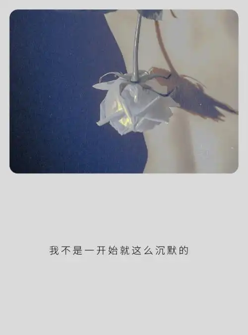 壁纸我不是一开始就这么沉默的