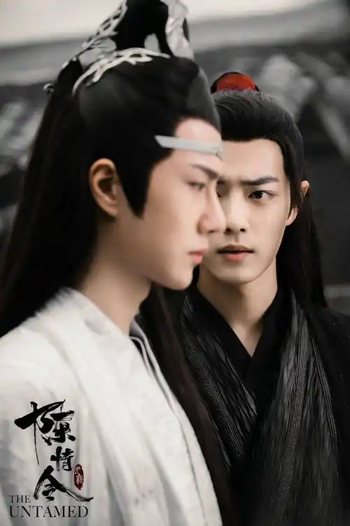 删掉《陈情令》,王一博修改代表作引热议_肖战_微博_网友