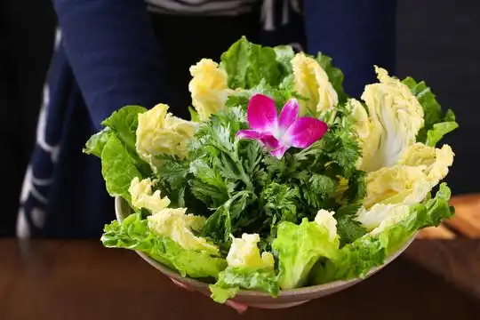 蔬菜拼盘摄影图__食物原料_餐饮美食_摄影图库_昵图网nipic.com