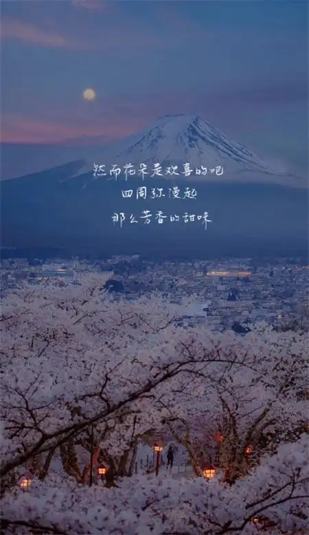 适合女生温柔文艺的风景皮肤