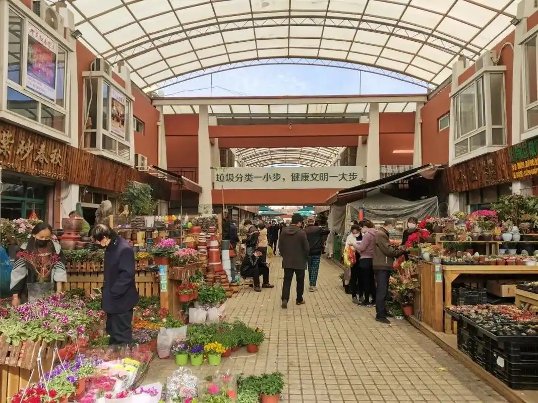 号外普陀这个花鸟市场500多家商铺开店迎客啦