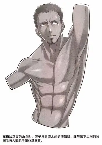 筋是肌肉根部的组织,在人体的背部中,肌肉筋的分部面积非常广,而筋又