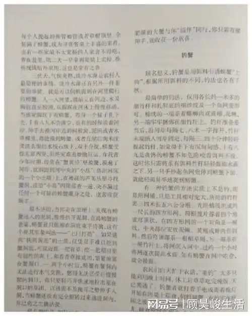 惬意无比的捉螃蟹日子