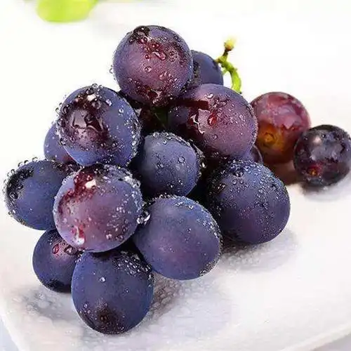 乒乓球葡萄59元一串