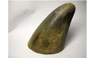防伪专家教你怎么去分辨真假犀牛角