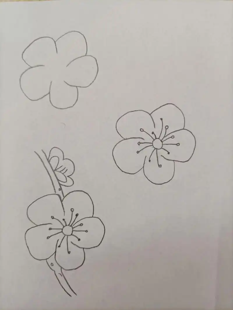 简笔画(209)梅花 坚持,加油! 宝剑锋从磨砺出,梅花香自苦寒来.