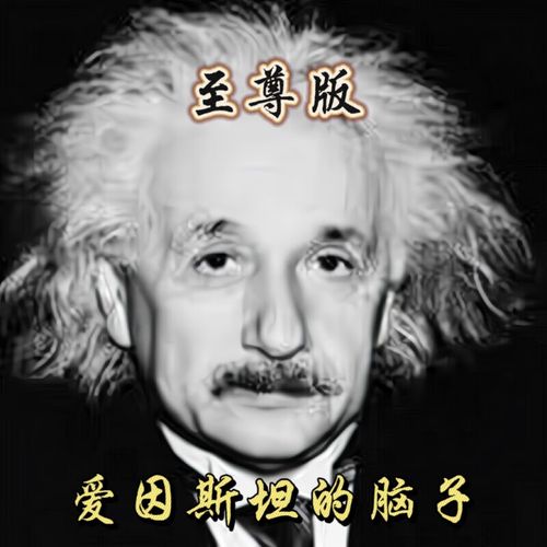 爱因斯坦的脑子版,拍下后自动长到你的脑子,买过都说好 默认