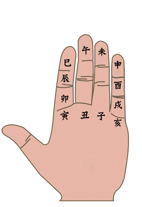 使得十二地支刚好在手掌十二个指节纹中